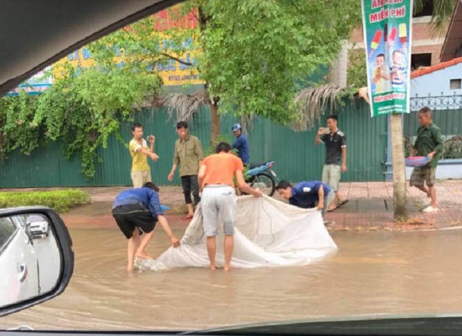 Video - Clip: Dân đổ xô ra đường, giăng màn bắt cá sau mưa lớn