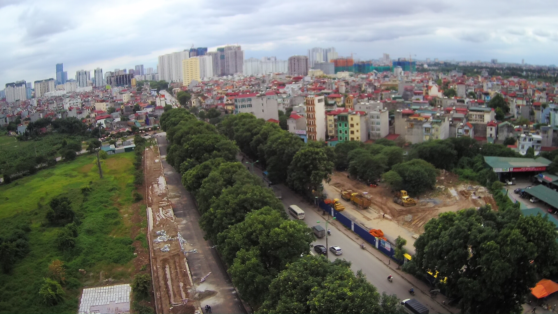 Xã hội - Toàn cảnh gần 1.300 cây xanh ở Hà Nội trước giờ di chuyển, chặt hạ