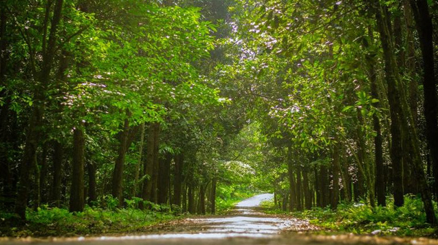 Giáo dục - Tuyển sinh năm 2019: Lần đầu tiên Việt Nam có ngành Du lịch sinh thái