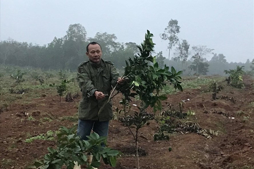 An ninh - Hình sự - Làm rõ vụ trang trại bị kẻ gian nhiều lần đột nhập chặt phá cây và đốt nhà