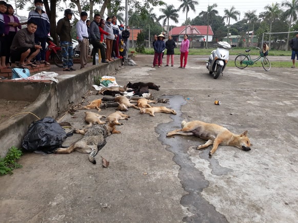 An ninh - Hình sự - Người dân vây bắt anh em ruột trộm hơn 20 con chó, mèo