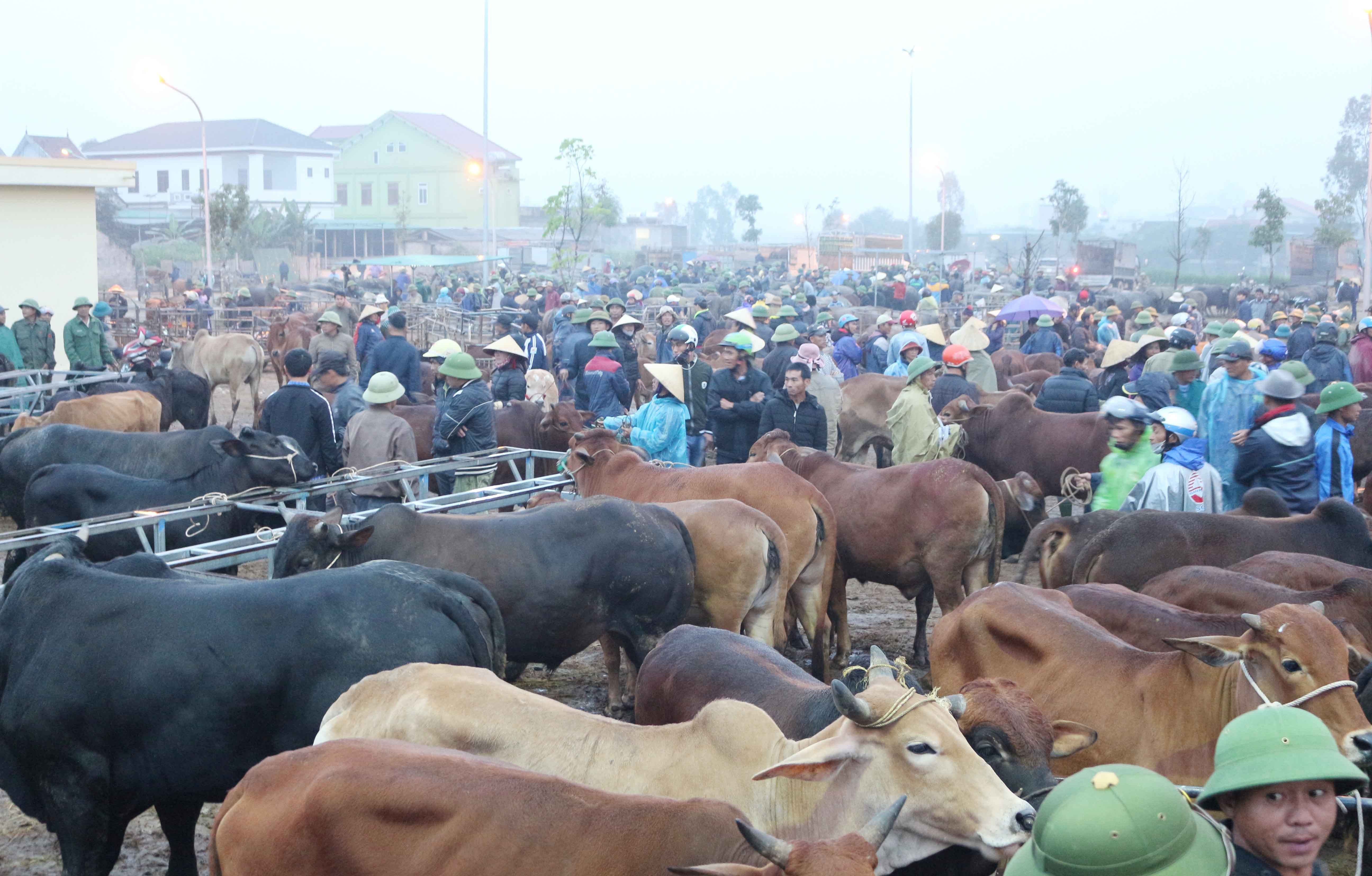 Văn hoá - Ghé thăm phiên chợ trâu xuyên quốc gia độc đáo ở xứ Nghệ (Hình 2).