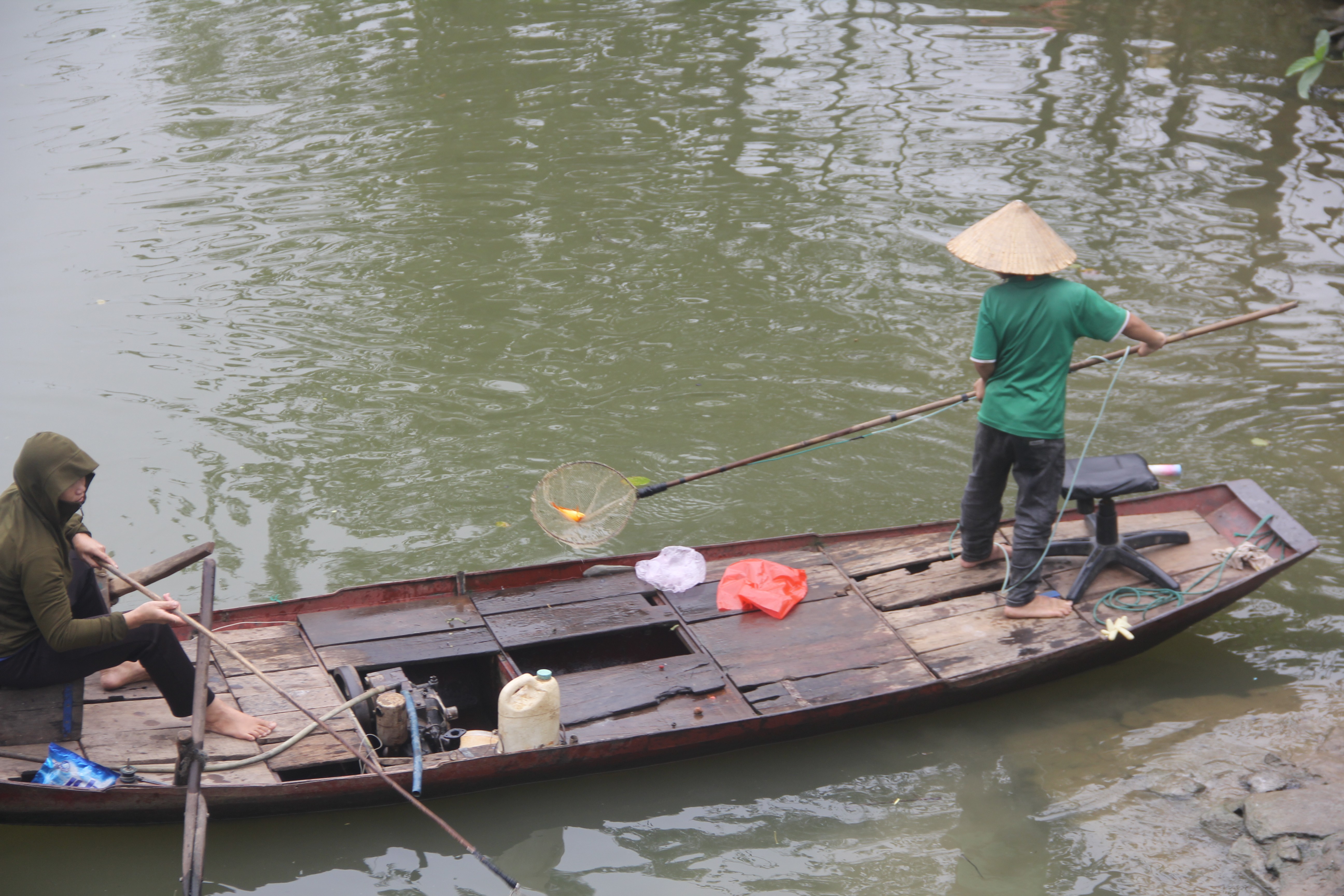 Dân sinh - Cá chép ông Công ông Táo vừa thả, người chích điện đã chờ sẵn (Hình 4).