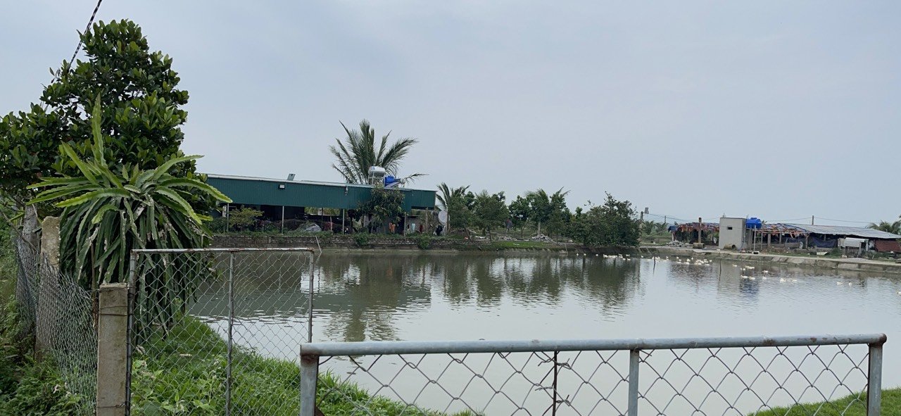 An ninh - Hình sự - Thủ đoạn tinh vi của 'ông trùm' tổ chức đánh bạc ở trang trại lớn (Hình 2).