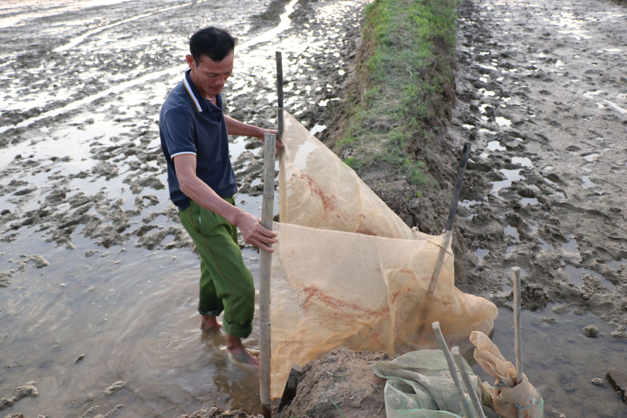 Dân sinh - Người dân chăng lưới ở ruộng, sẵn sàng chờ vớt 'lộc đùn lên từ đất' (Hình 4).