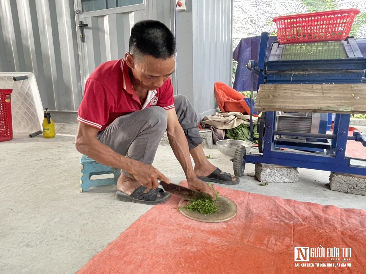 Dân sinh - Lắp điều hoà cho tằm nhả tơ, mang lại năng suất cao  (Hình 6).