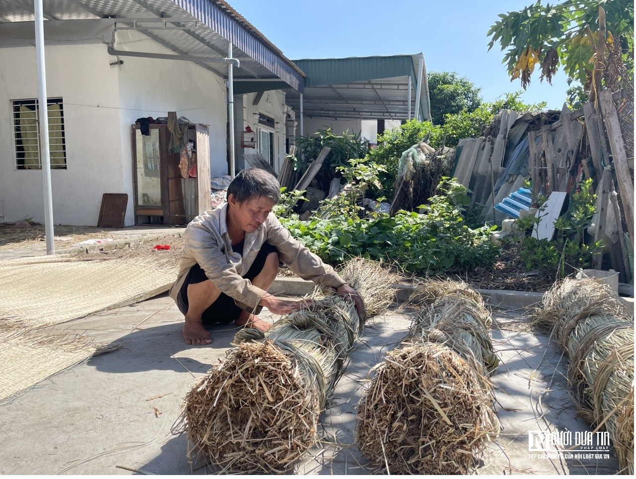 Dân sinh - Cặp vợ chồng giữ lửa nghề dệt chiếu cói truyền thống ở xứ Nghệ (Hình 7).