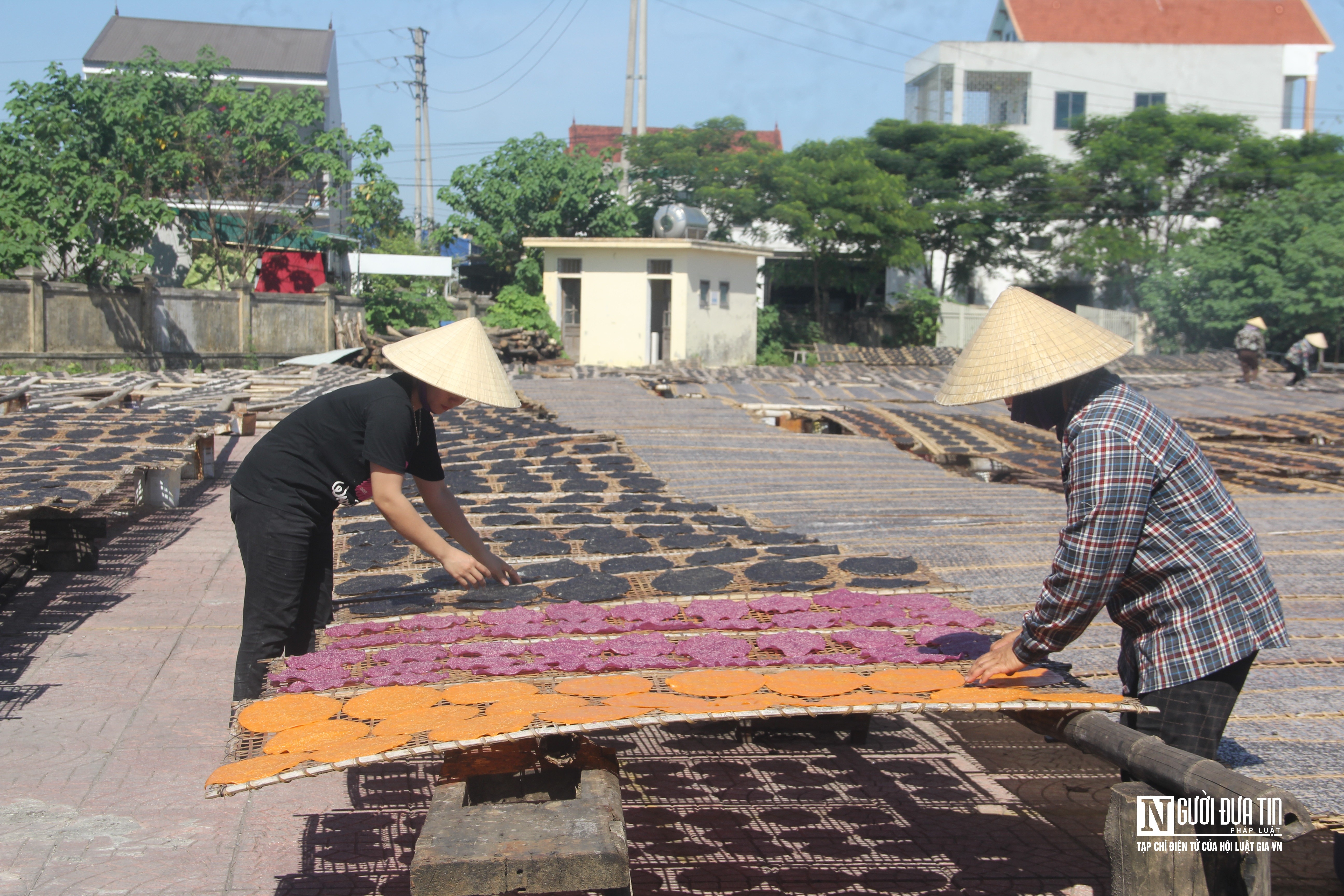 Dân sinh - Độc đáo bánh đa nhiều sắc màu được khách trong và ngoài nước ưa chuộng (Hình 11).