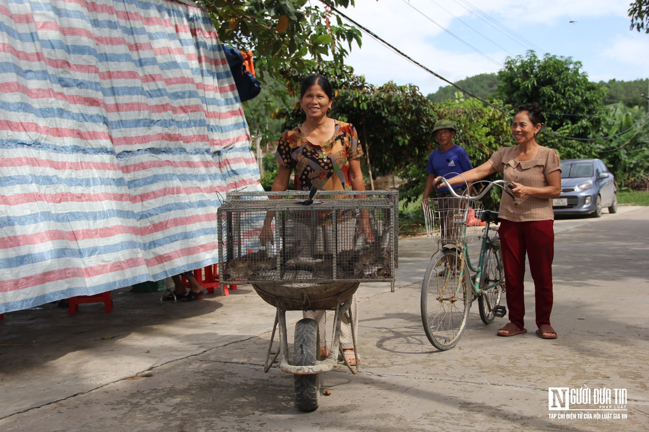 Dân sinh - Người dân bỏ túi tiền triệu mỗi ngày nhờ săn đặc sản chuột đồng (Hình 3).