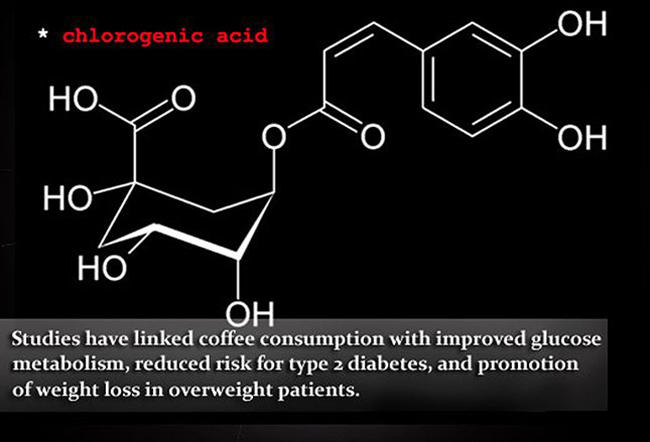 Đời sống - Lợi &iacute;ch v&agrave; t&aacute;c hại của c&agrave; ph&ecirc; (H&igrave;nh 3).
