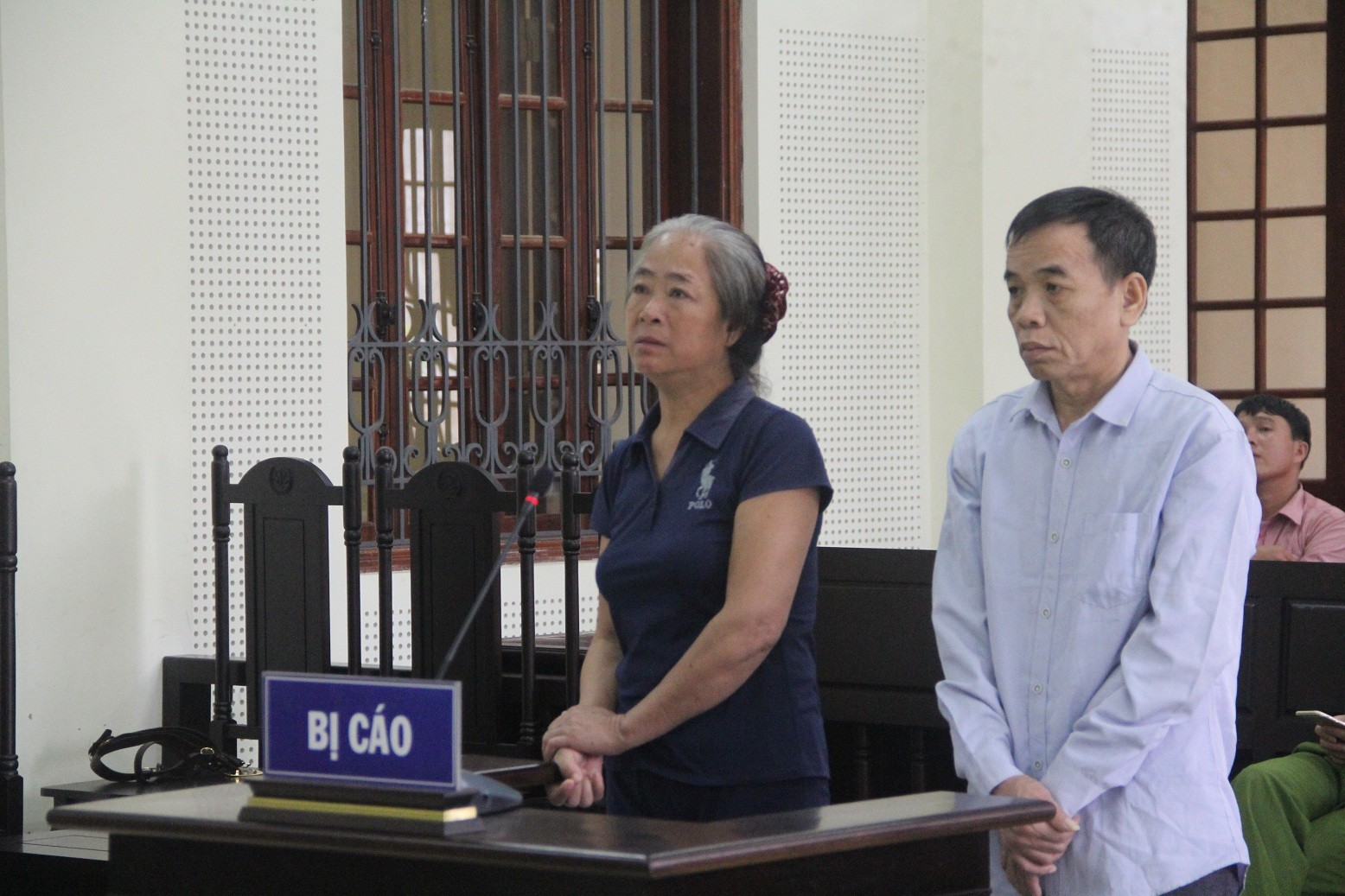 Hồ sơ điều tra - 'Nữ quái' hầu tòa vì nhẫn tâm bán con gái chị ruột sang Trung Quốc (Hình 2).