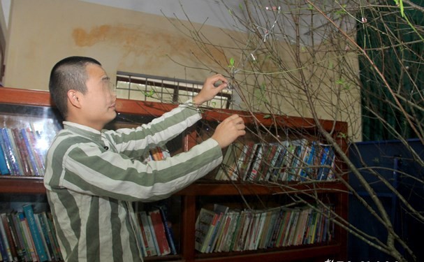 Tin nhanh - Phạm nh&acirc;n khao kh&aacute;t đo&agrave;n tụ với gia đ&igrave;nh trong dịp Tết cổ truyền (H&igrave;nh 2).