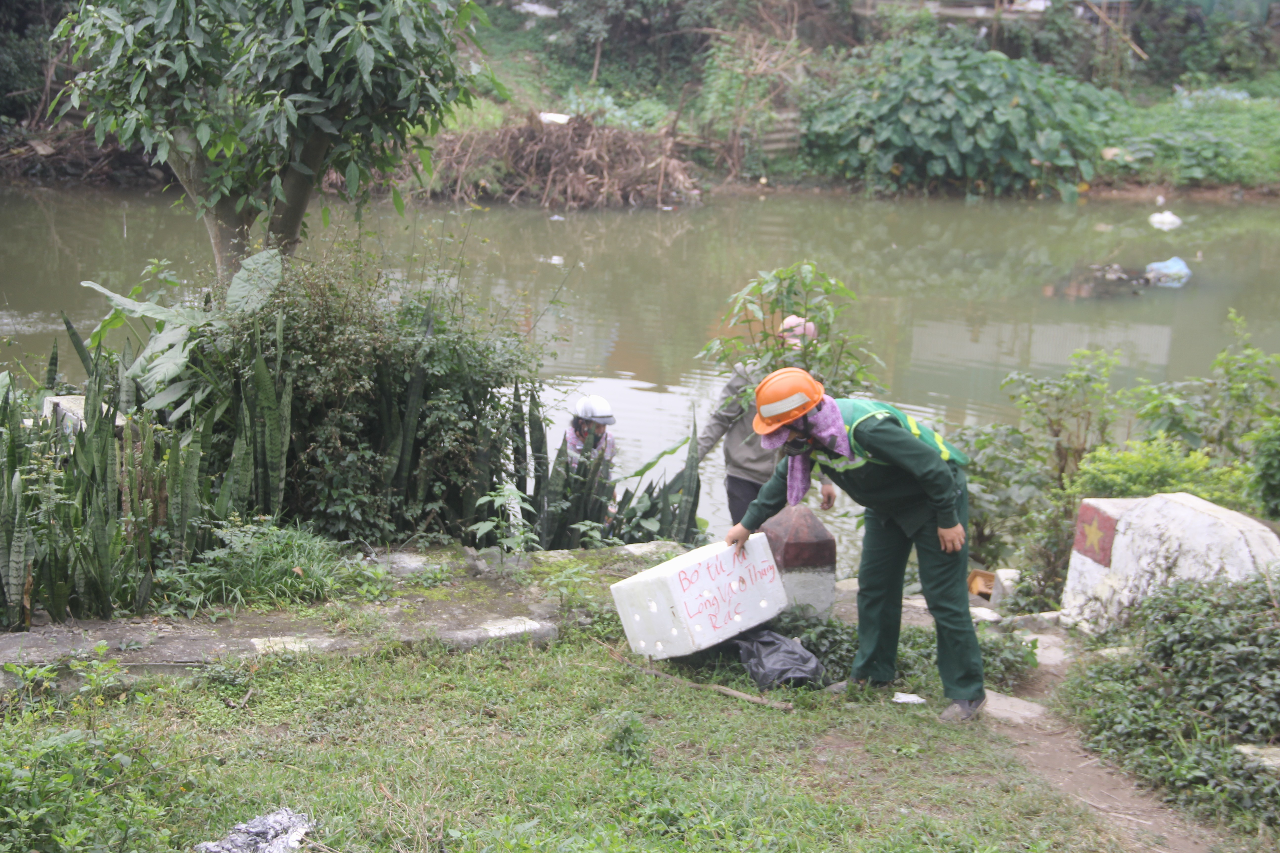 Dân sinh - Cá chép ông Công ông Táo vừa thả, người chích điện đã chờ sẵn (Hình 6).