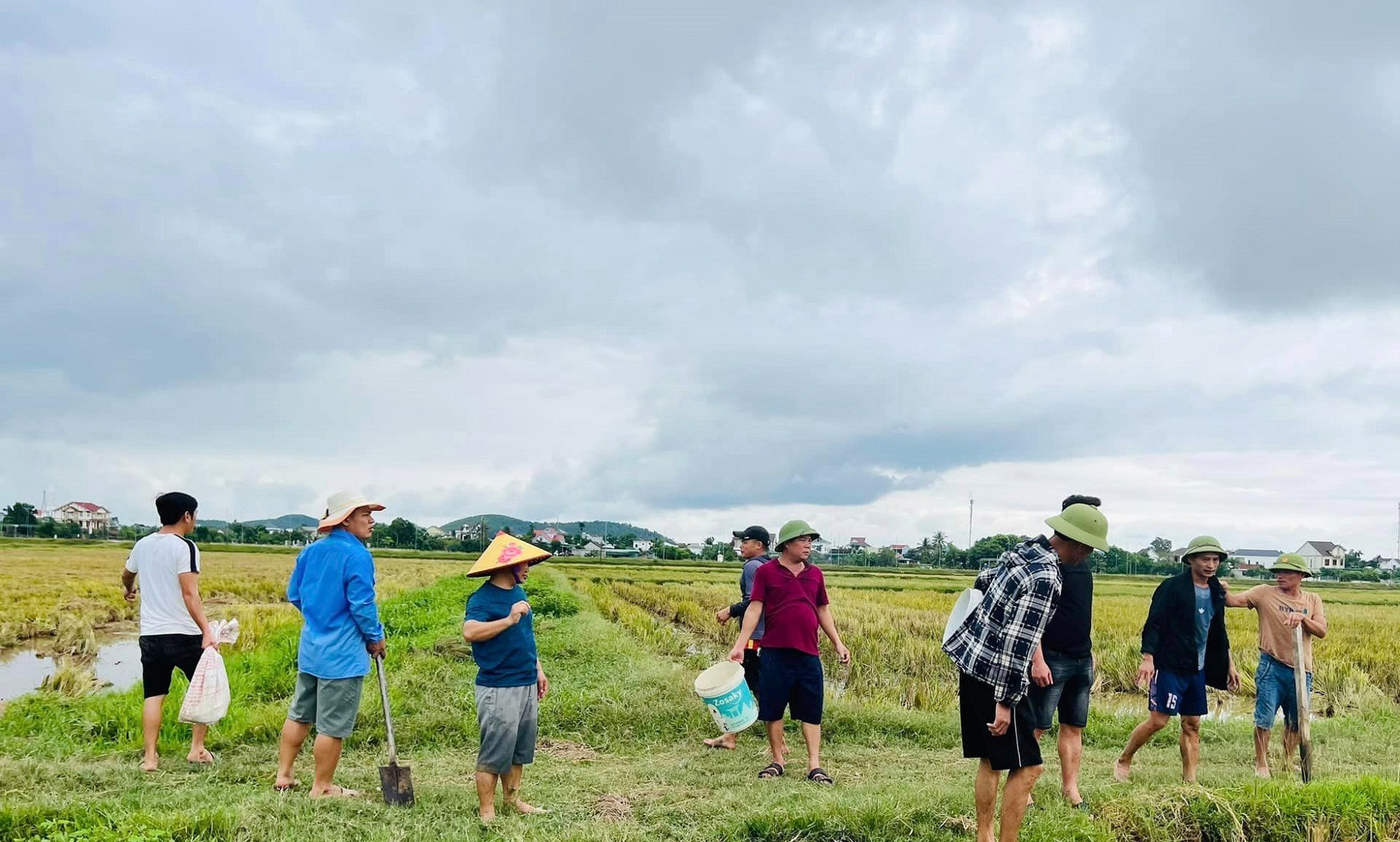 Dân sinh - Người dân bỏ túi tiền triệu mỗi ngày nhờ săn đặc sản chuột đồng (Hình 2).