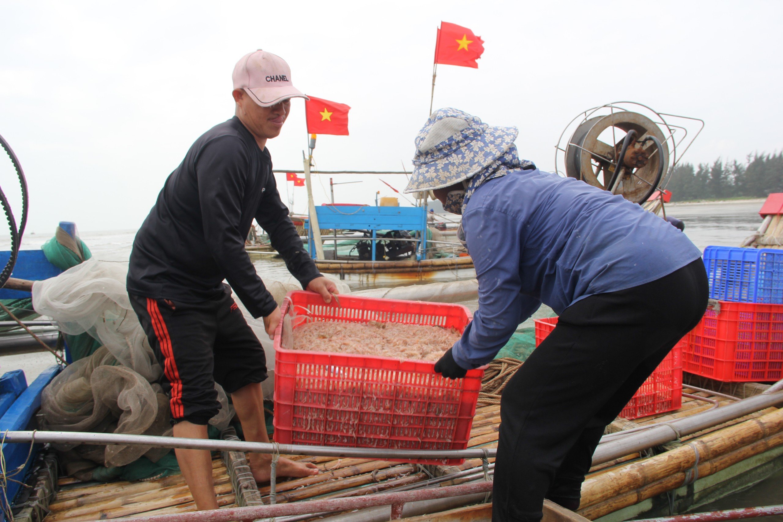 Dân sinh - Đầu năm ngư dân thu tiền triệu mỗi ngày nhờ 'lộc biển'