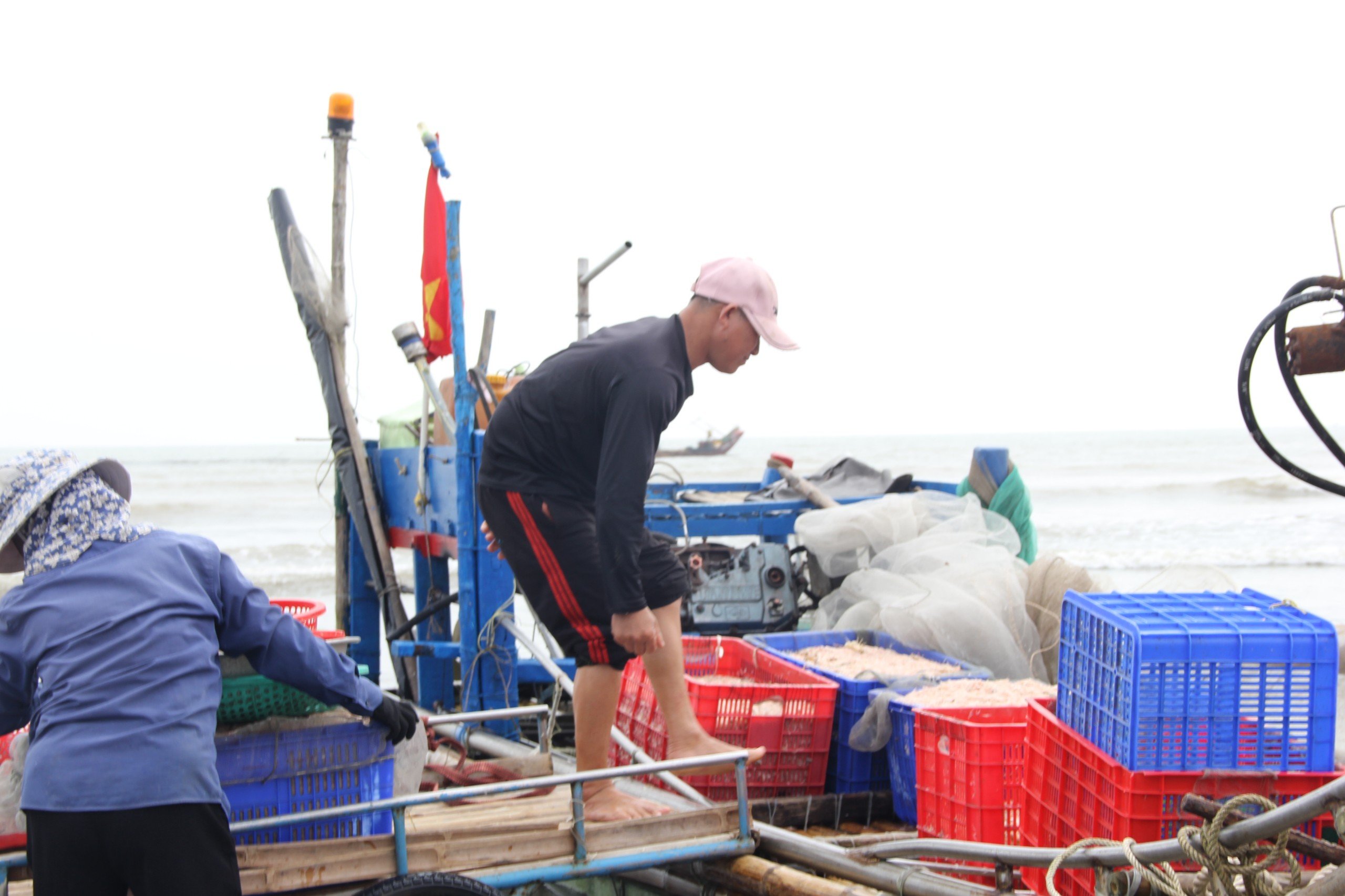 Dân sinh - Đầu năm ngư dân thu tiền triệu mỗi ngày nhờ 'lộc biển' (Hình 2).