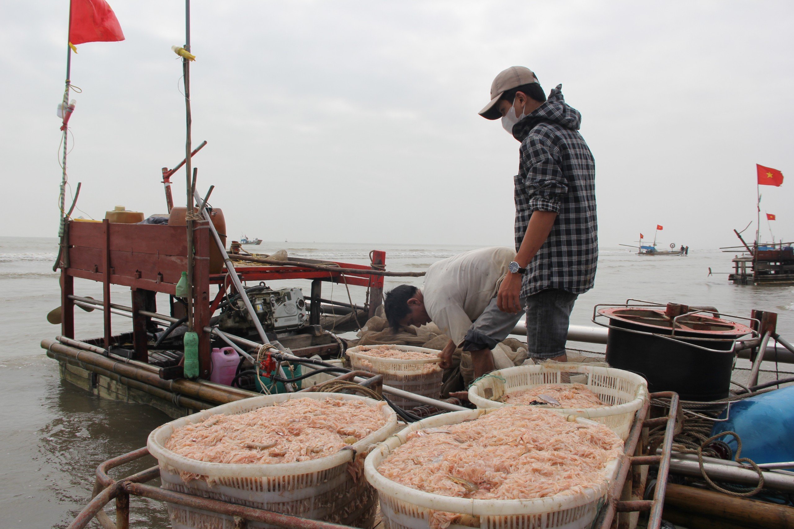 Dân sinh - Đầu năm ngư dân thu tiền triệu mỗi ngày nhờ 'lộc biển' (Hình 6).