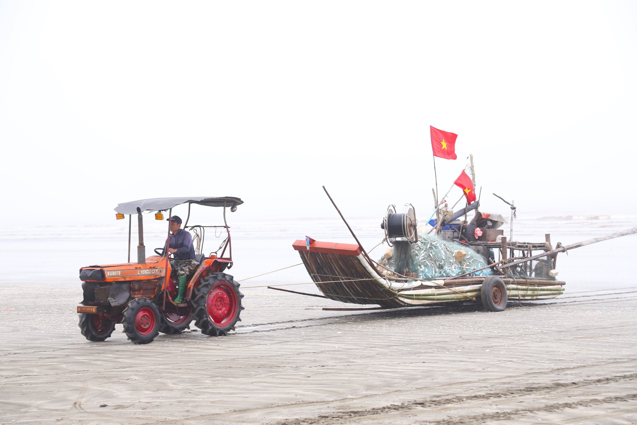 Dân sinh - Ra khơi từ nửa đêm trúng con 'nhiều đạm', ngư dân bỏ túi tiền triệu (Hình 9).