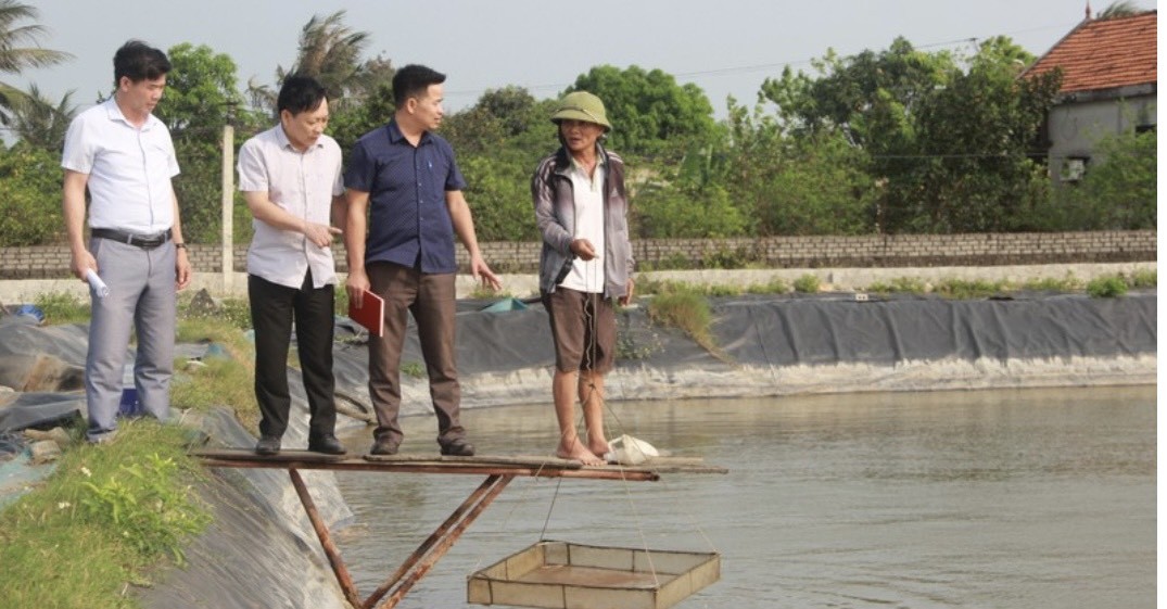 Dân sinh - Nghệ An: Tập trung làm rõ nguyên nhân khiến tôm nuôi chết hàng loạt (Hình 3).