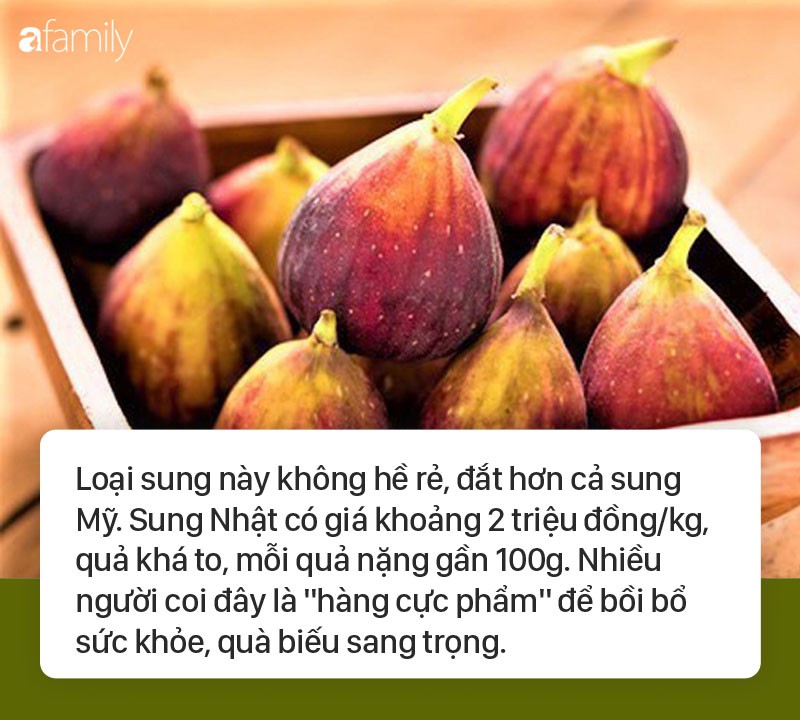 Đời sống - Thực hư về chuyện sung đỏ 2 triệu/kg chữa bách bệnh