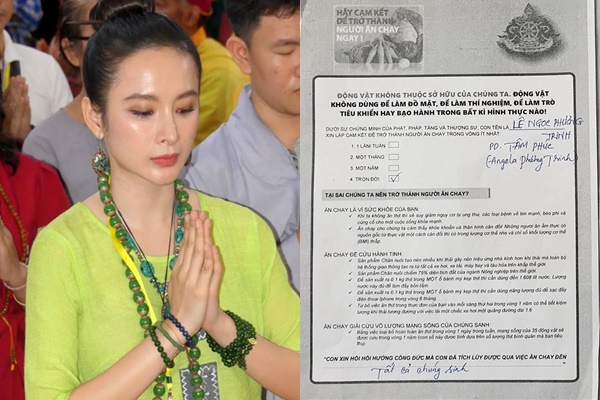 Ngôi sao -  Angela Phương Trinh: “Đòn roi” dư luận và màn “lột xác” 180 độ không ai ngờ (Hình 2).