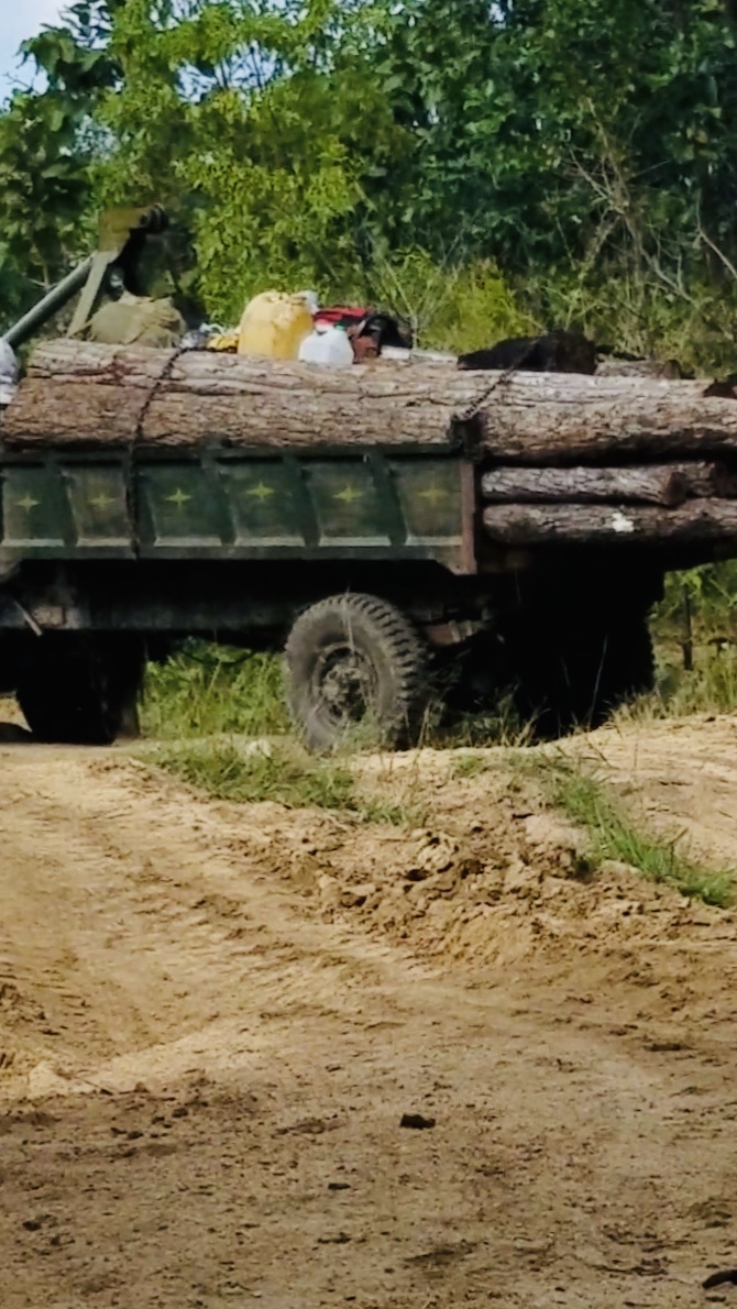 Hồ sơ điều tra - Gia Lai: 'Lâm tặc' ngang nhiên vận chuyển gỗ lậu đi qua trạm quản lý rừng (Hình 2).