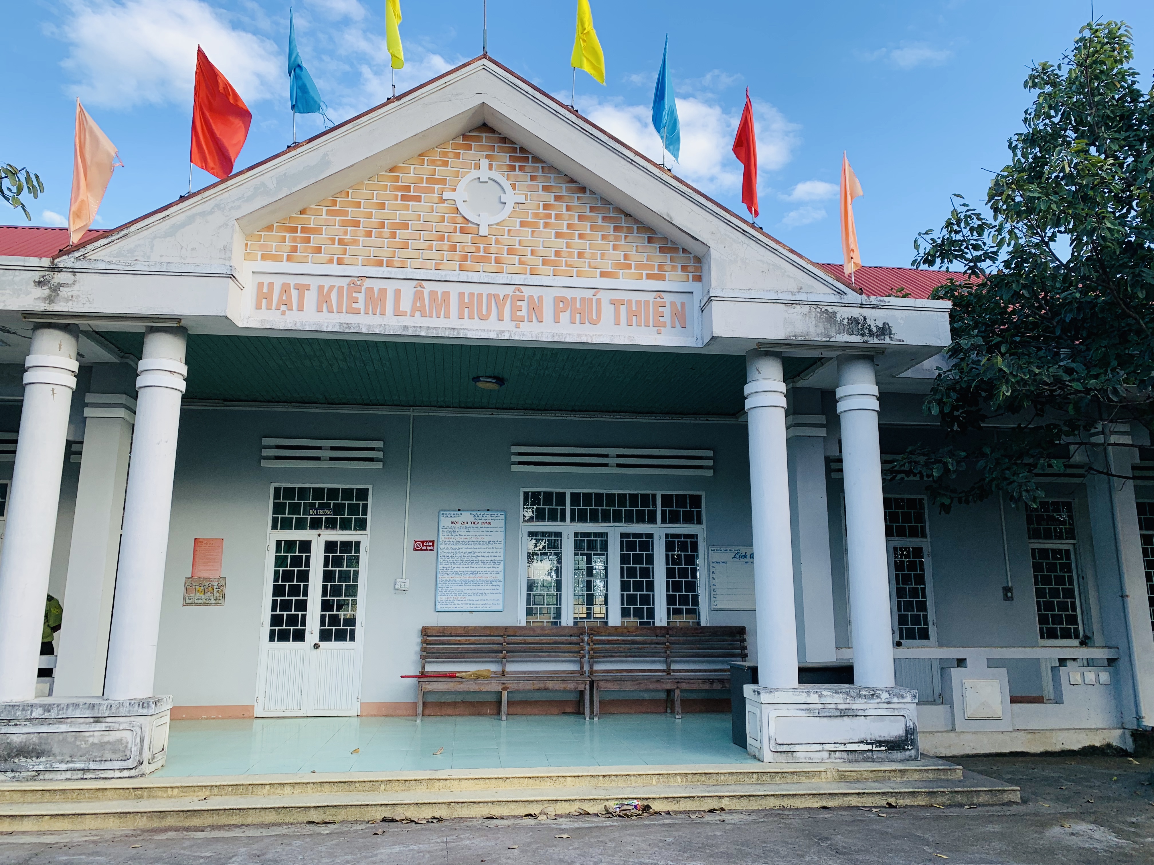 Hồ sơ điều tra - Gia Lai: 'Lâm tặc' ngang nhiên vận chuyển gỗ lậu đi qua trạm quản lý rừng (Hình 4).