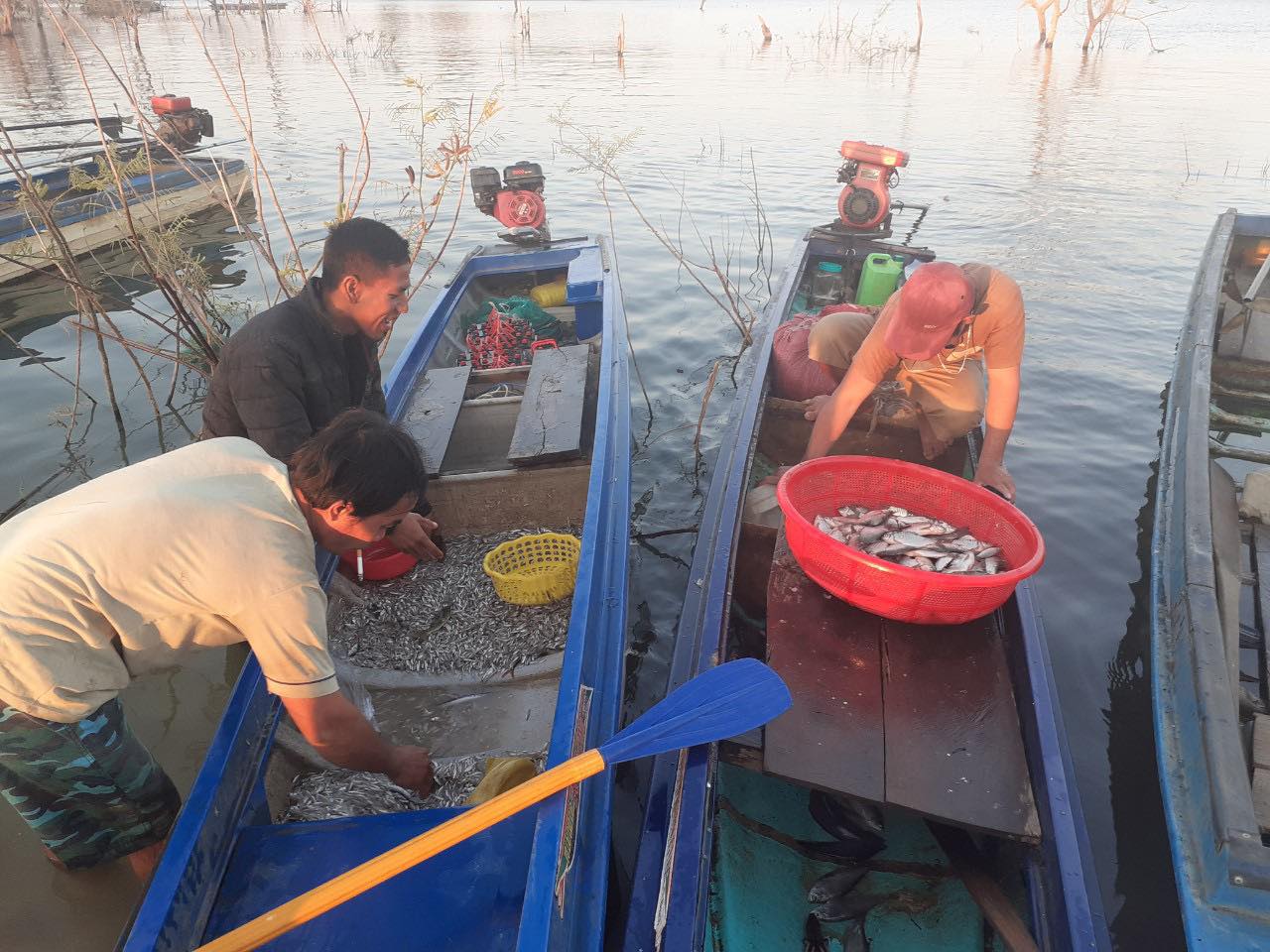 Dân sinh - Giấc mơ no đủ từ làng chài trên Cao Nguyên (Hình 6).