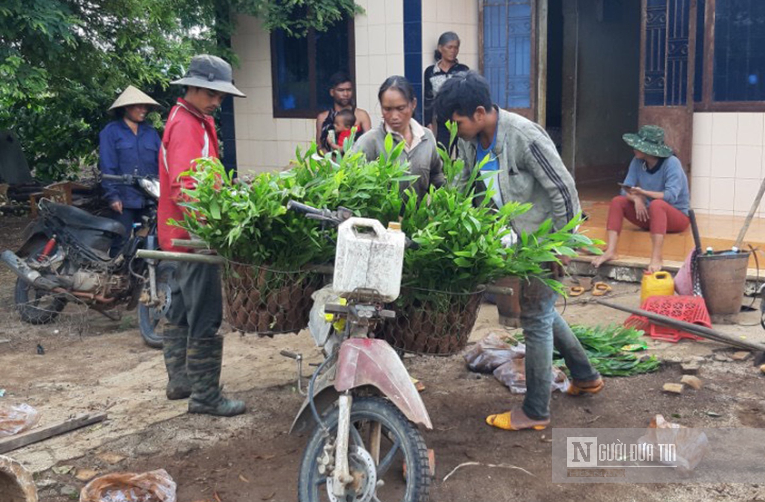 An ninh - Hình sự - Gian nan cuộc chiến bảo vệ rừng giữa vòng vây “lâm tặc” (Hình 5).