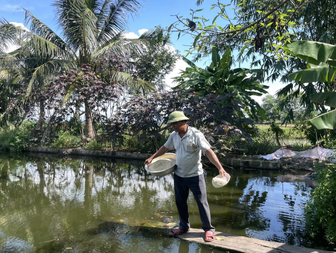 Dân sinh - Gia Lai: Nông dân đổi đời nhờ nuôi cá giống 