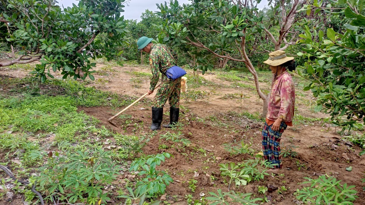 Dân sinh - Gia Lai: Bộ đội Biên phòng chung tay giúp dân thoát nghèo  (Hình 2).