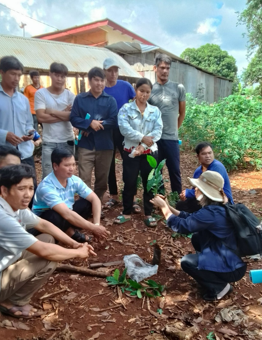 Dân sinh - Gieo mầm xanh trên miền đất khó