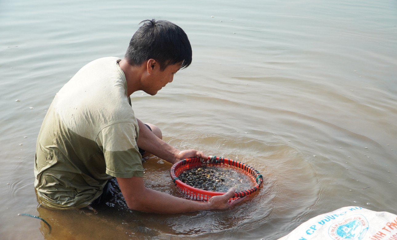 Dân sinh - Mùa hến về trên Tây Nguyên