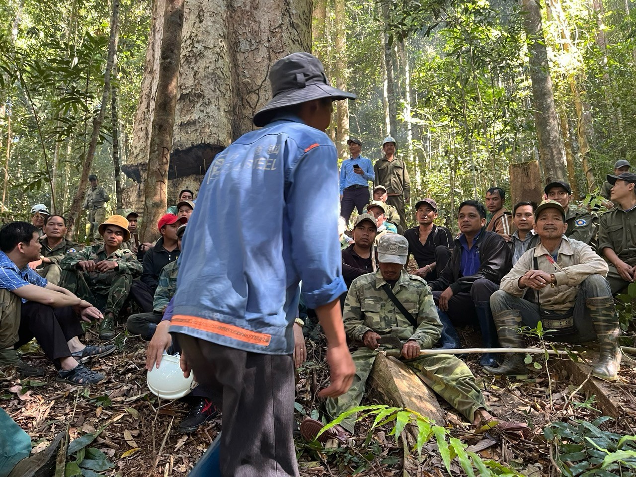 Dân sinh - Kon Tum: Nỗ lực bảo vệ 'báu vật' của buôn làng (Hình 4).