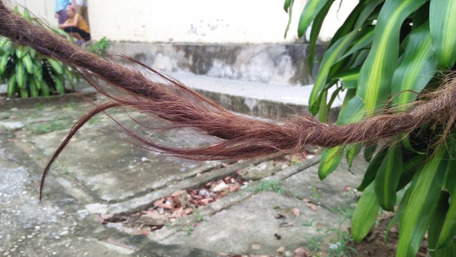 Giải tr&iacute; - Clip: Cụ b&agrave; 95 tuổi c&oacute; bộ t&oacute;c d&agrave;i gần 4m tiết lộ l&yacute; do kh&ocirc;ng gội đầu suốt 65 năm  (H&igrave;nh 2).