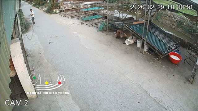 Mới- nóng - Clip: Chó bất ngờ lao sang đường khiến 2 người bị thương nặng