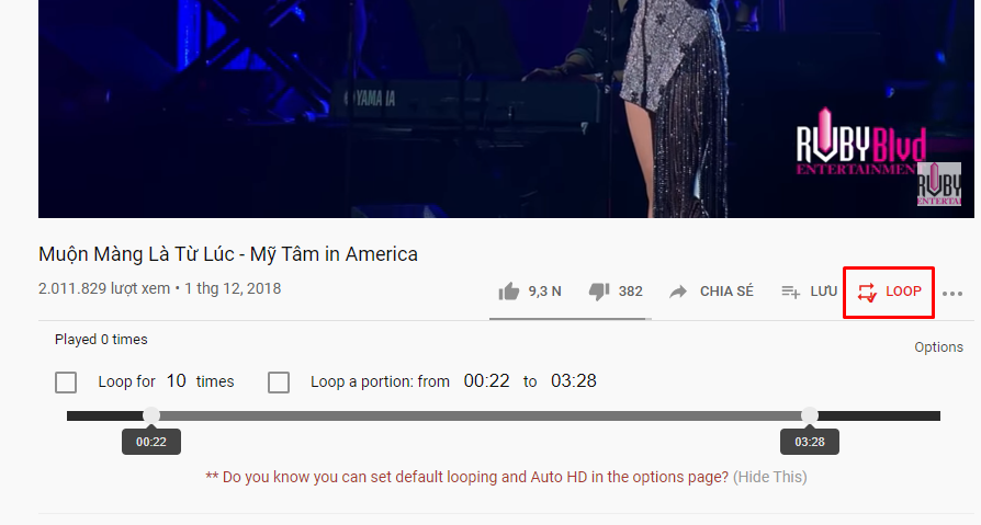 Thủ thuật - Tiện ích - Hướng dẫn 3 cách tự động phát lặp lại video trên Youtube (Hình 4).