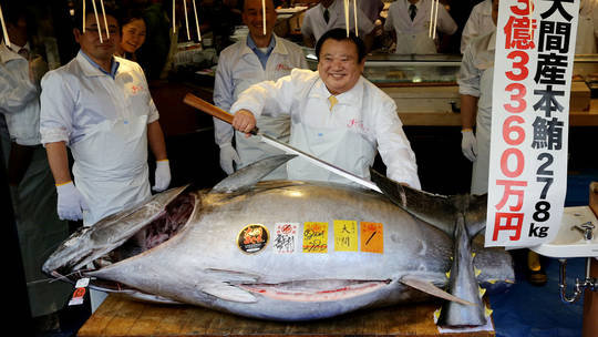 Video - Con cá nặng 278 kg giá 72 tỷ đồng, người đàn ông vẫn xuống tiền mua (Hình 2).