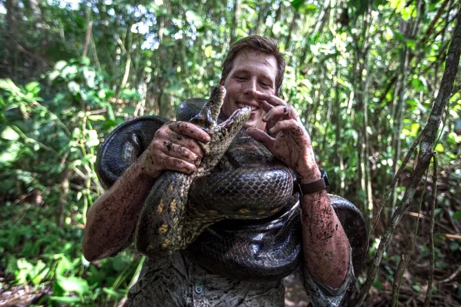 Video - Phát hiện trăn Anaconda khổng lồ dài 8 mét, nặng 200kg chết trên sông (Hình 5).