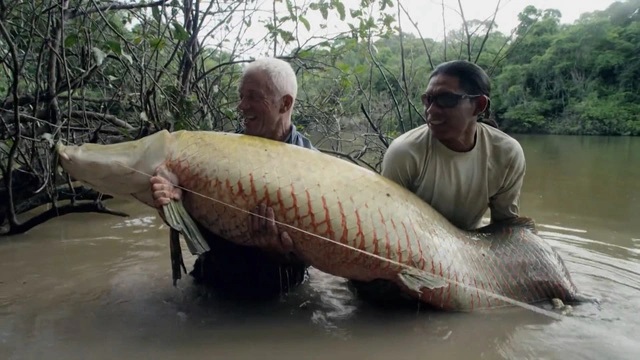 Video - Người đàn ông câu được cá hải tượng long nặng 113kg trên sông Amazon (Hình 2).