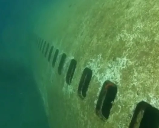 Video - Bên trong chiếc máy bay chìm sâu dưới đáy biển bị nhầm là MH370 (Hình 5).