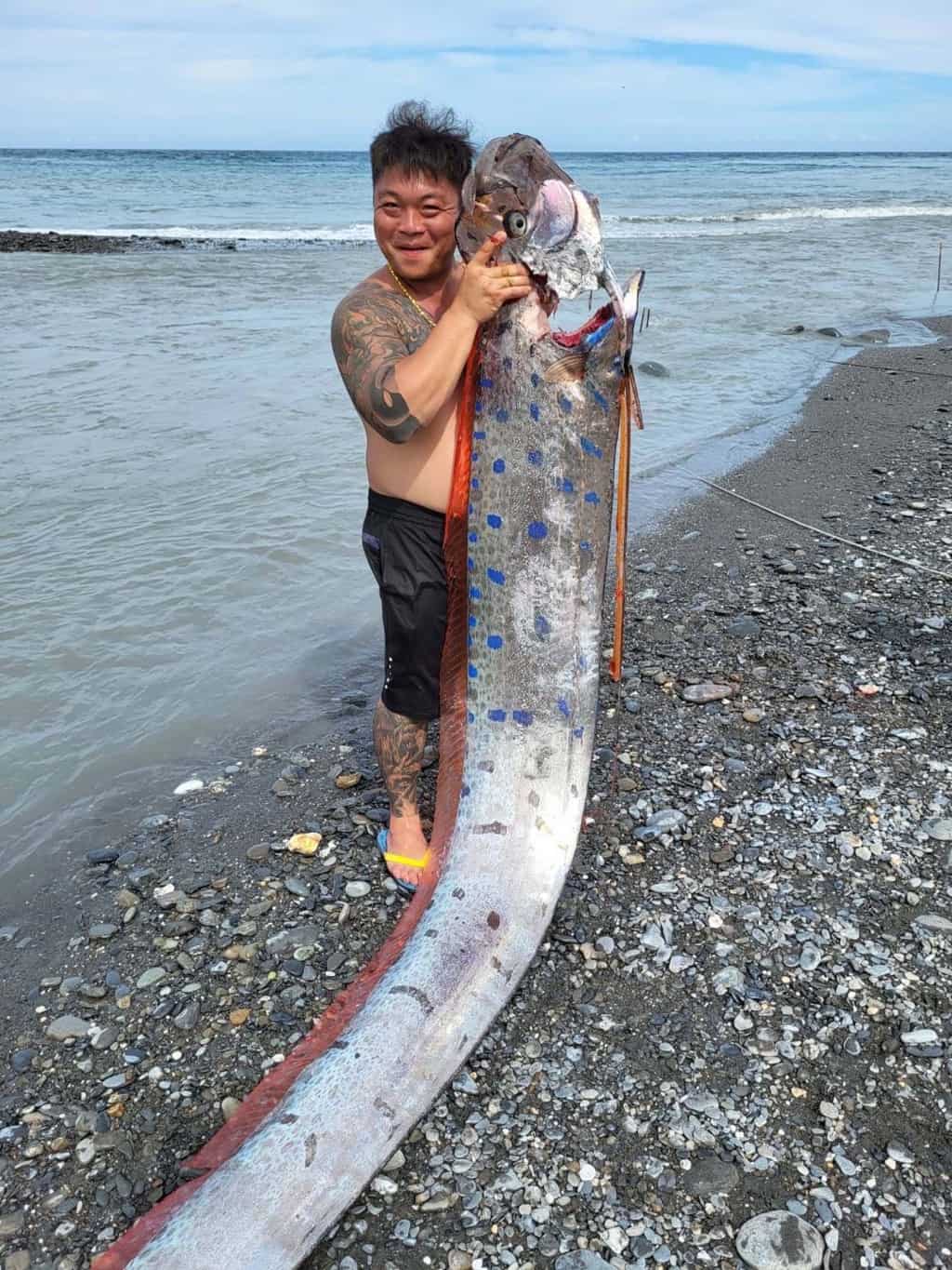 Video - Người đàn ông câu được con cá mái chèo khổng lồ dài 6m, nặng 130kg (Hình 4).