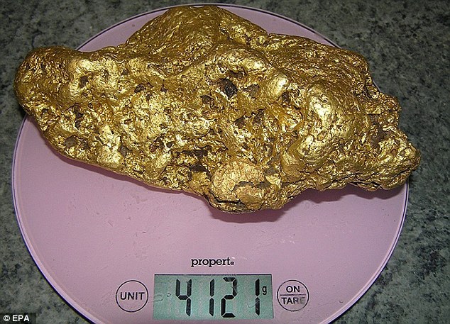 Đời sống - Người đàn ông đào được cục vàng nặng 4,1kg giá hơn 6 tỷ đồng