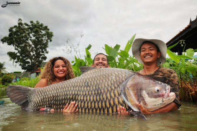 Đời sống - Nam thanh niên câu được con cá chép Xiêm khổng lồ nặng gần 60kg (Hình 2).