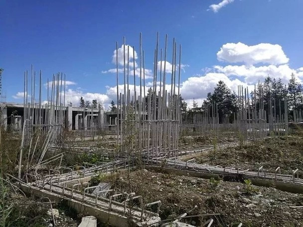 Ng&ocirc;i sao - Nguy&ecirc;n nh&acirc;n L&yacute; &Aacute; Bằng &ldquo;Anh h&ugrave;ng xạ đi&ecirc;u&rdquo; bị ch&ecirc; cười khi tuy&ecirc;n bố từ thiện 70% t&agrave;i sản (H&igrave;nh 2).