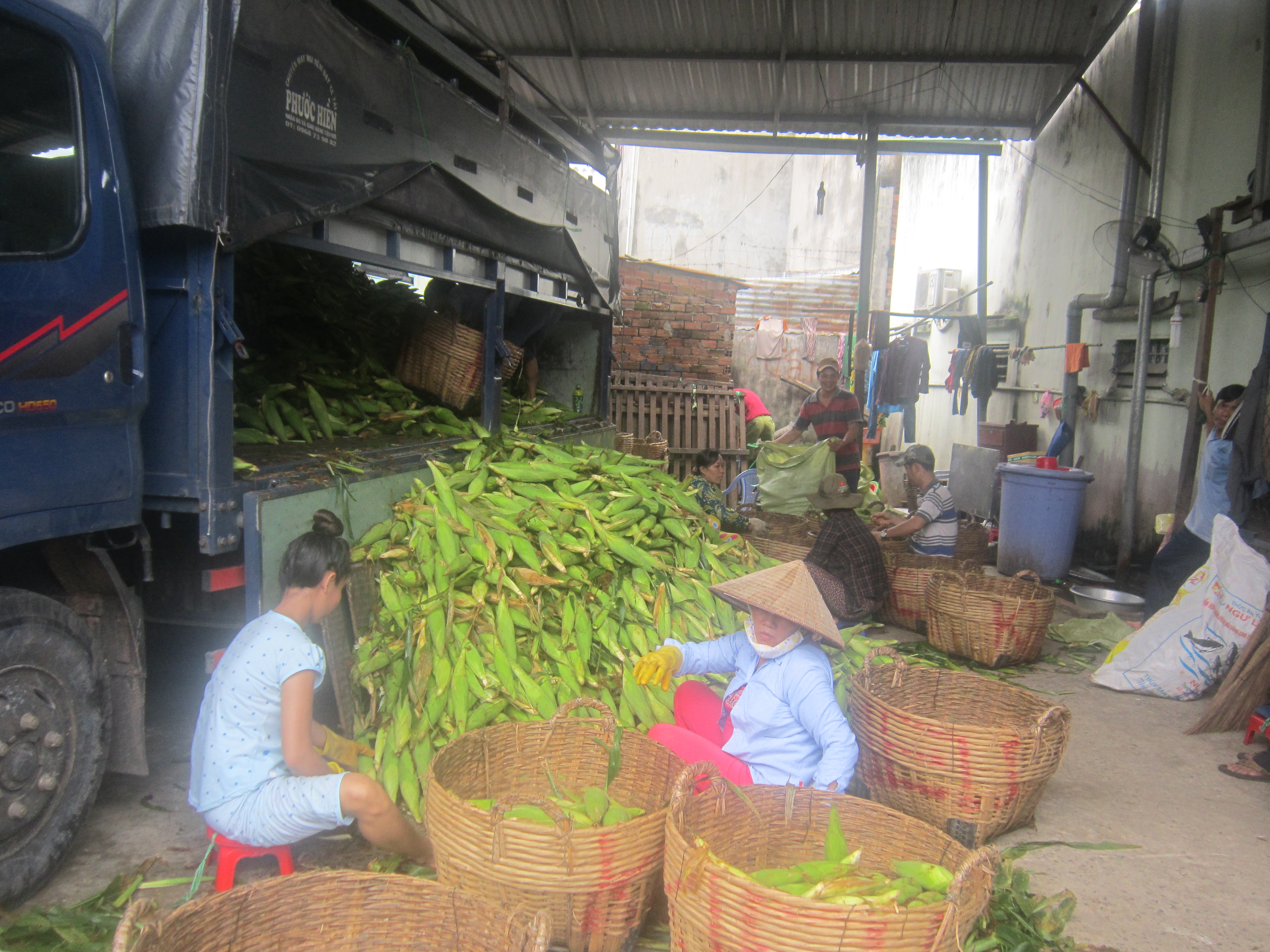 Dân sinh - Độc đáo chợ bắp lớn nhất Sài thành (Hình 2).