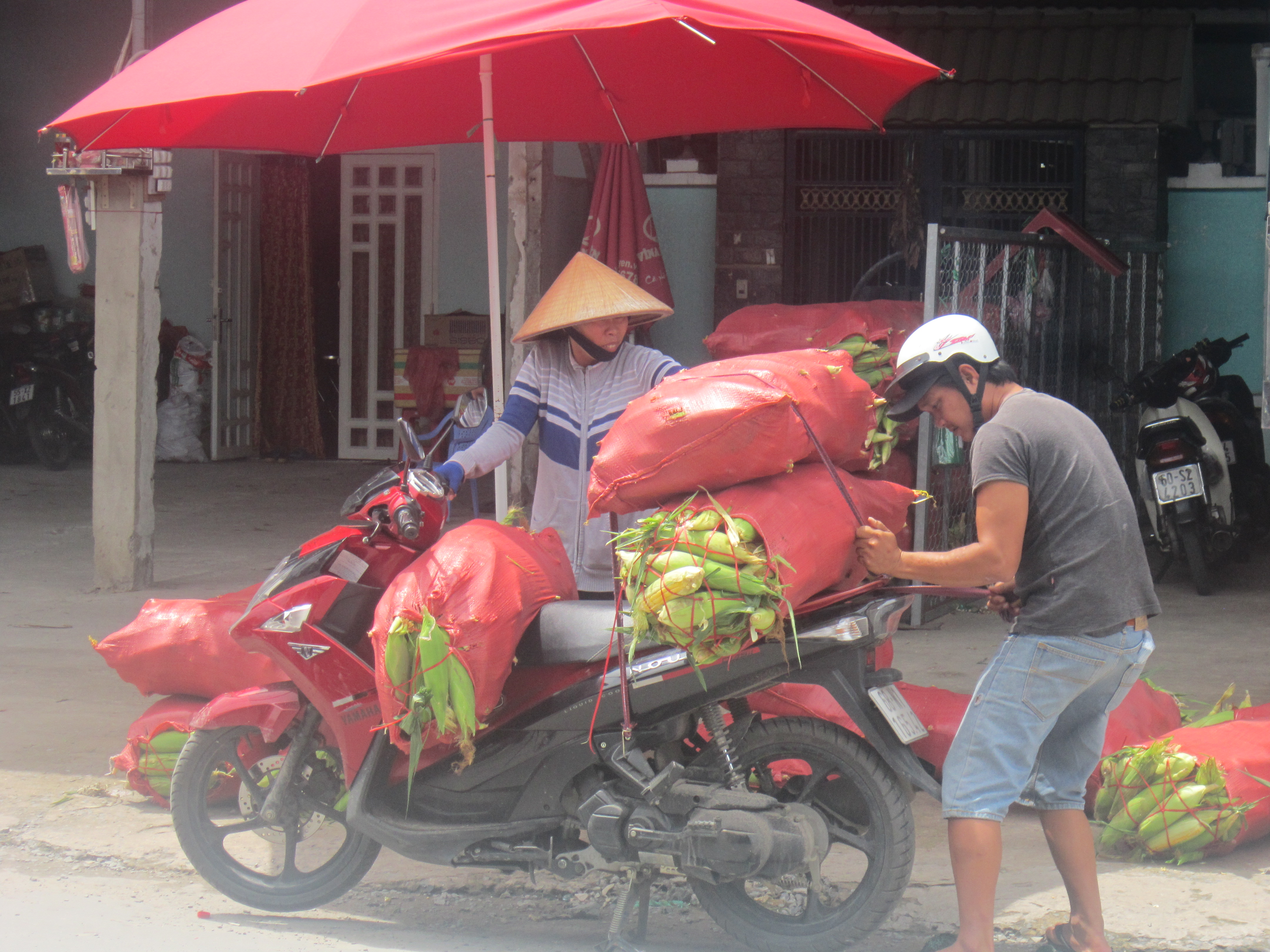 Dân sinh - Độc đáo chợ bắp lớn nhất Sài thành (Hình 4).