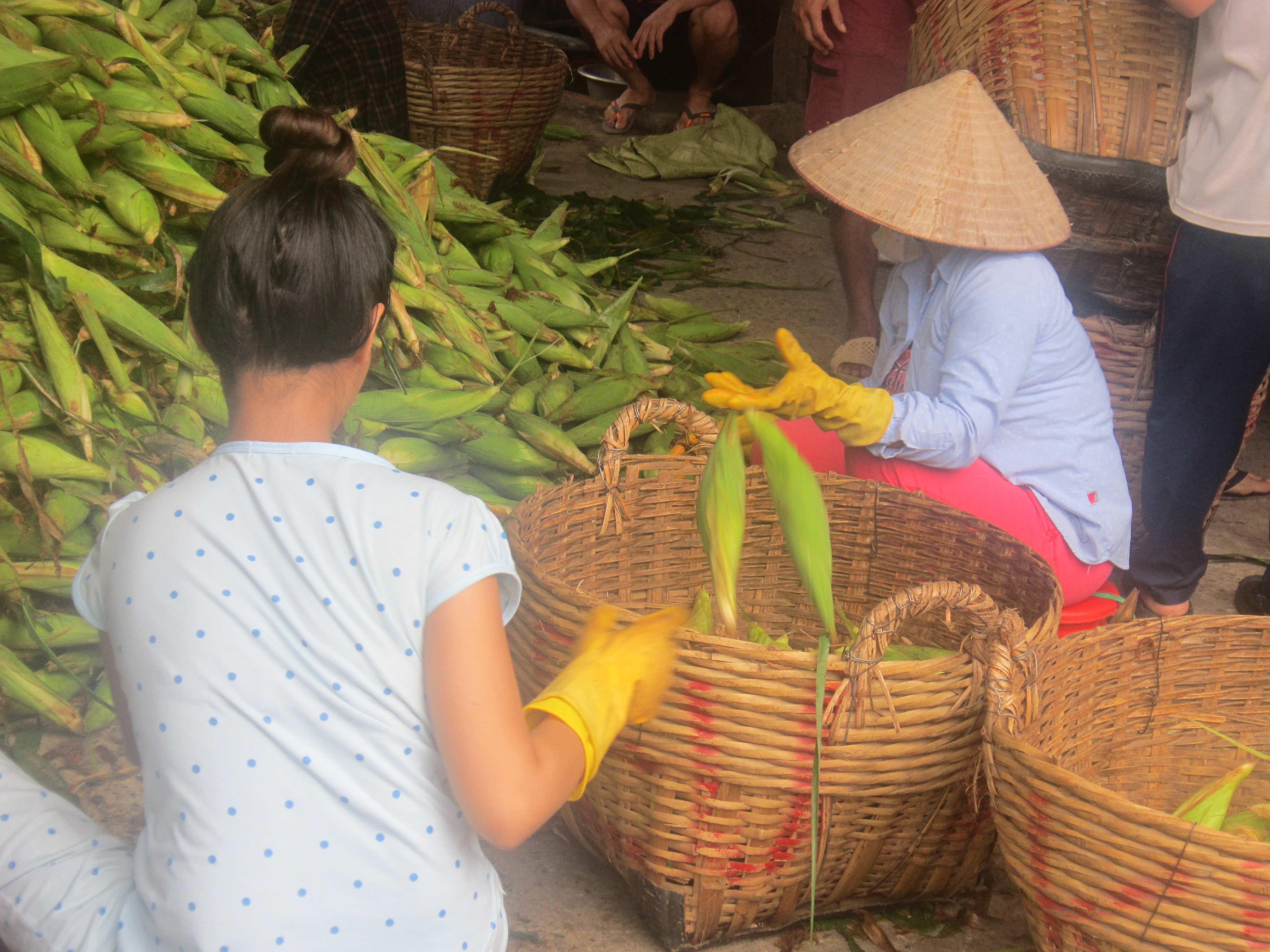 Dân sinh - Độc đáo chợ bắp lớn nhất Sài thành (Hình 5).