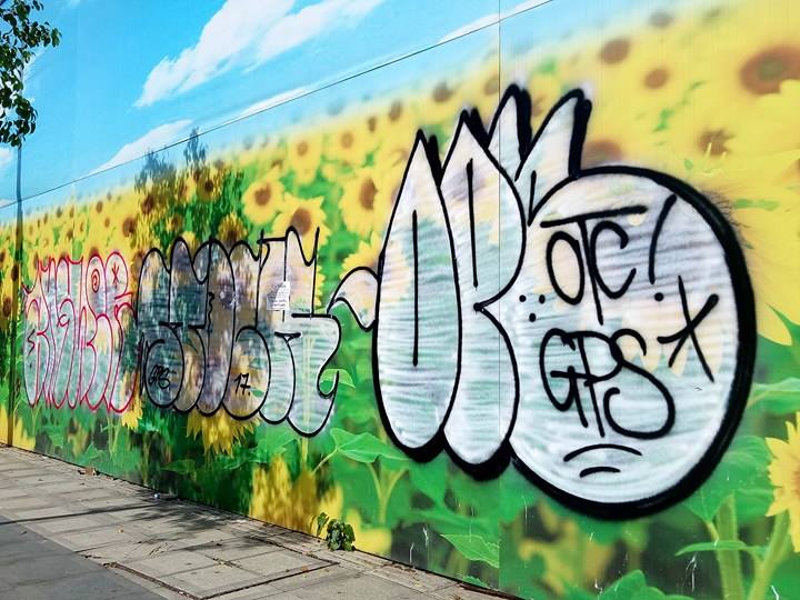 Tình trạng vẽ Graffiti tràn lan trên pano gây mất mỹ quan đô thị,  khiến người dân trong khu vực khá bức xúc.