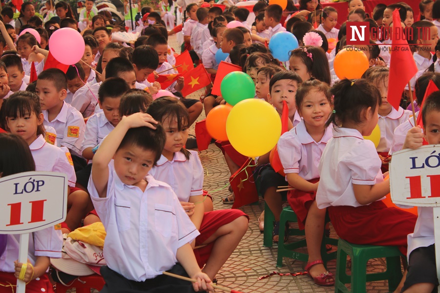 Đời sống - Chùm ảnh: Ánh mắt thơ ngây của học sinh lớp 1 ngày khai giảng (Hình 7).